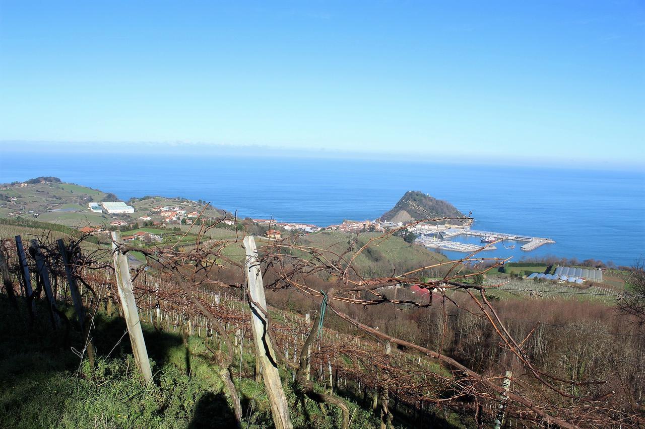 Bed and Breakfast Gazteategi Zarautz Exteriér fotografie